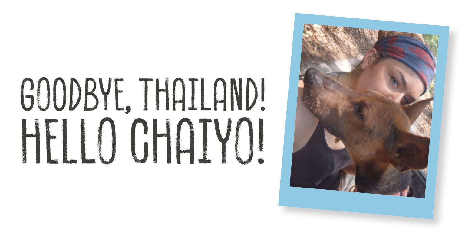 AU REVOIR THAÏLANDE ! BONJO...