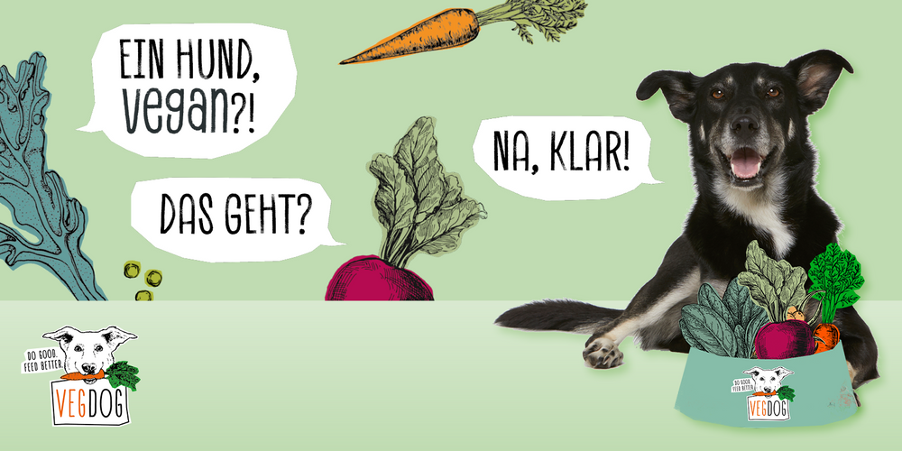 Vegane Hundeernährung: Pro & Contra – VEGDOG