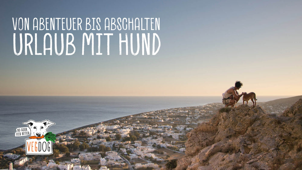 Von Abenteuer bis Abschalten – Urlaub mit Hund