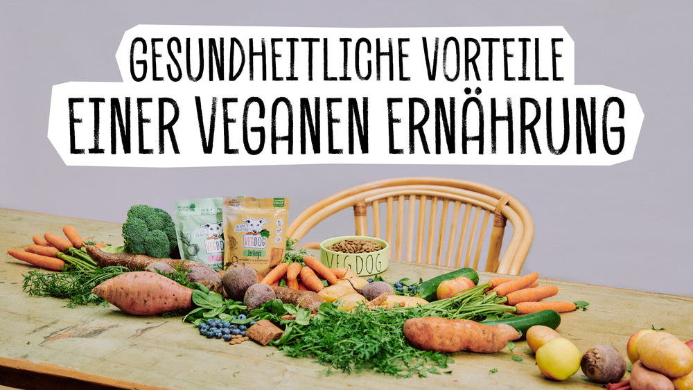 WELCHE GESUNDHEITLICHEN VORTEILE HAT EINE VEGANE ERNÄHRUNG?